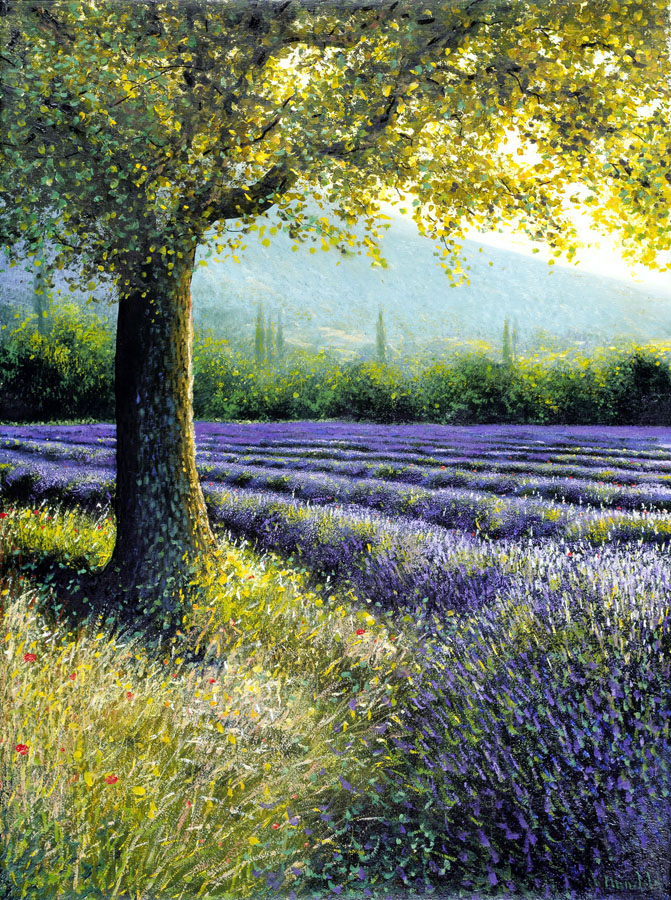 Baum und Lavendel – EDITION Lumière | Verlag für Kunst und Kunstdrucke | Leinwandbilder